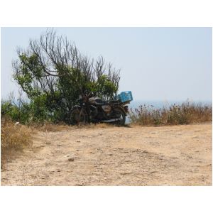 09.jpg